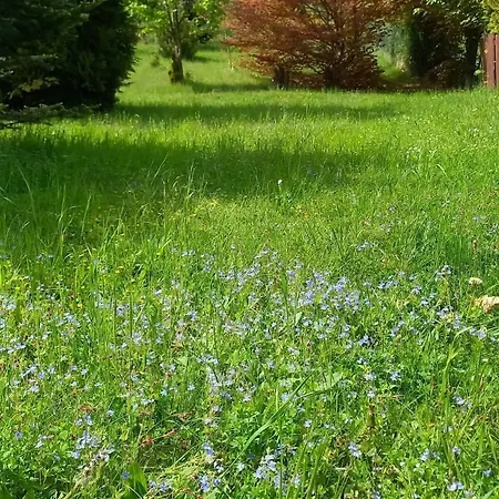 Formule Hotel Perštejn